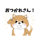 博多弁！ バリきゃっちーな柴犬ちゃん（個別スタンプ：32）