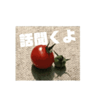 【しゃべらない】想いを伝える植物スタンプ（個別スタンプ：3）