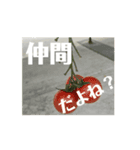 【しゃべらない】想いを伝える植物スタンプ（個別スタンプ：4）