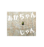 【しゃべらない】想いを伝える植物スタンプ（個別スタンプ：9）