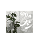 【しゃべらない】想いを伝える植物スタンプ（個別スタンプ：15）