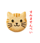 ニャンべい、パリッと一言（個別スタンプ：1）