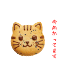 ニャンべい、パリッと一言（個別スタンプ：7）