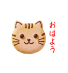 ニャンべい、パリッと一言（個別スタンプ：10）