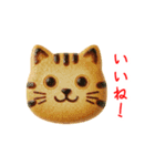ニャンべい、パリッと一言（個別スタンプ：12）