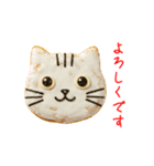 ニャンべい、パリッと一言（個別スタンプ：16）