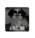 犬と日常スタンプ（個別スタンプ：18）