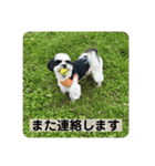 犬と日常スタンプ（個別スタンプ：24）