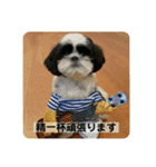 犬と日常スタンプ（個別スタンプ：26）