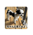 犬と日常スタンプ（個別スタンプ：32）