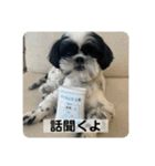 犬と日常スタンプ（個別スタンプ：34）