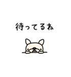 しろぶるさん（個別スタンプ：3）