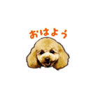 With R＆B（個別スタンプ：1）