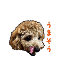 With R＆B（個別スタンプ：5）