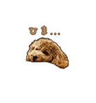 With R＆B（個別スタンプ：7）