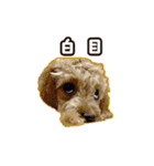 With R＆B（個別スタンプ：8）