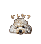 With R＆B（個別スタンプ：9）
