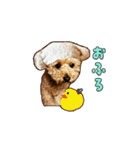 With R＆B（個別スタンプ：10）