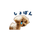 With R＆B（個別スタンプ：12）