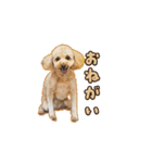 With R＆B（個別スタンプ：13）