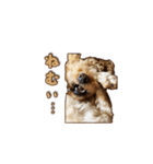 With R＆B（個別スタンプ：17）