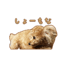 With R＆B（個別スタンプ：18）