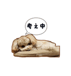 With R＆B（個別スタンプ：19）