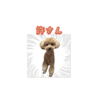 With R＆B（個別スタンプ：21）