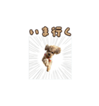 With R＆B（個別スタンプ：22）