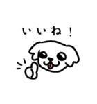 ふわふわかわいいペキニーズ（個別スタンプ：11）
