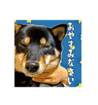 今田ハルのスタンプ（個別スタンプ：2）