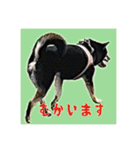 今田ハルのスタンプ（個別スタンプ：4）
