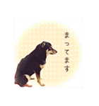 今田ハルのスタンプ（個別スタンプ：5）