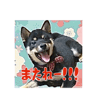 今田ハルのスタンプ（個別スタンプ：15）