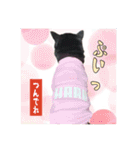 今田ハルのスタンプ（個別スタンプ：25）