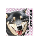 今田ハルのスタンプ（個別スタンプ：27）