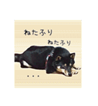 今田ハルのスタンプ（個別スタンプ：28）