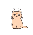 困った茶トラねこ（個別スタンプ：3）