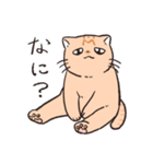 困った茶トラねこ（個別スタンプ：6）