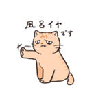 困った茶トラねこ（個別スタンプ：9）
