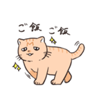 困った茶トラねこ（個別スタンプ：13）