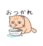 困った茶トラねこ（個別スタンプ：17）
