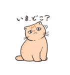 困った茶トラねこ（個別スタンプ：20）