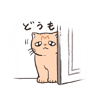 困った茶トラねこ（個別スタンプ：24）