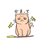 困った茶トラねこ（個別スタンプ：27）
