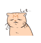 困った茶トラねこ（個別スタンプ：28）