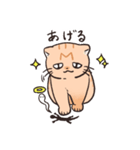 困った茶トラねこ（個別スタンプ：30）
