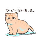 困った茶トラねこ（個別スタンプ：35）