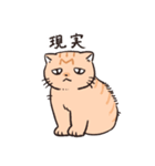 困った茶トラねこ（個別スタンプ：38）