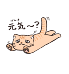 困った茶トラねこ（個別スタンプ：40）
